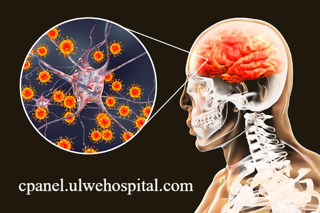 Apa Itu Japanese Encephalitis